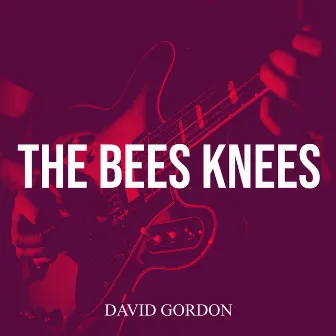 The Bees Knees by David Gordon