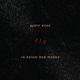 Fly by Aydın Esen