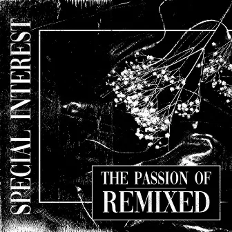 The Passion Of: Remixed by Special Interest