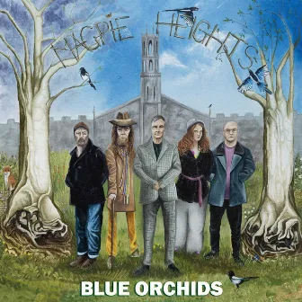 Magpie Heights by Blue Orchids