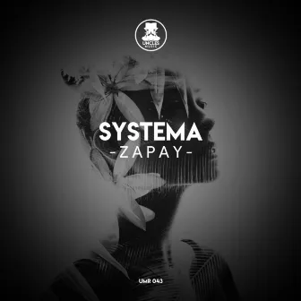 Zapay by Systema