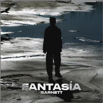 FANTASÍA by Barnettt