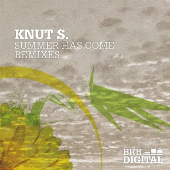 Summer Has Come (Remixes) by Knut S.