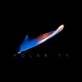 Polarity by Máté Möntör