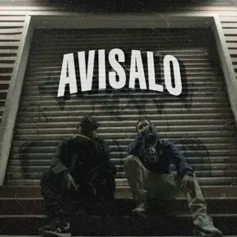 Avisalo by Dsmxnd