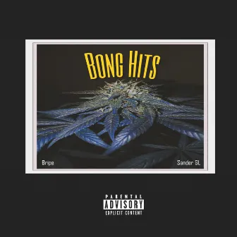 Bong Hits by Bripe