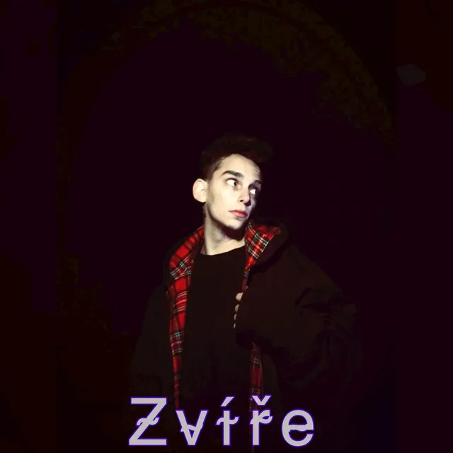 Zvíře