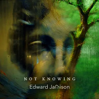 Not Knowing by Edward Jamison