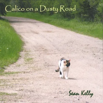 Calico On A Dusty Road by Sean Kelly