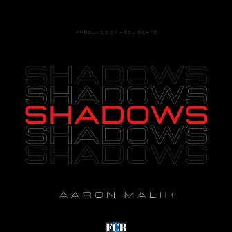 Shadows by Aaron Malik