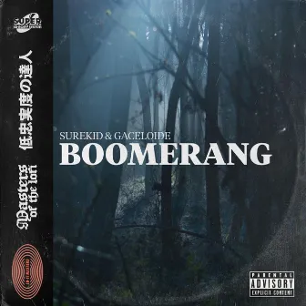 Boomerang by Gaceloide