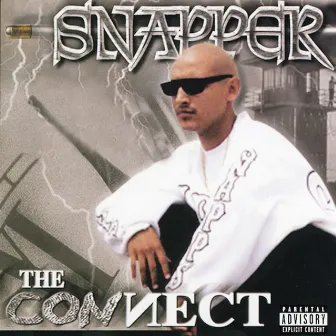 The Connect by Snapper