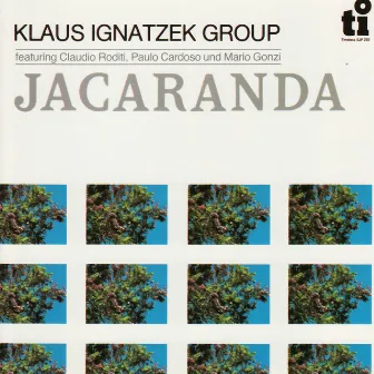 Jacaranda by Unknown Artist