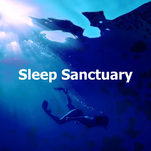 Sleep Sanctuary