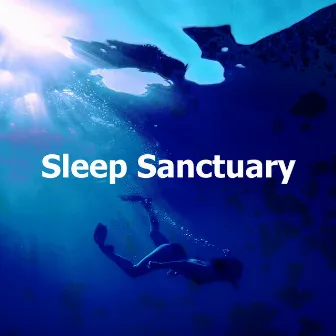 Sleep Sanctuary by Sleep Surfers