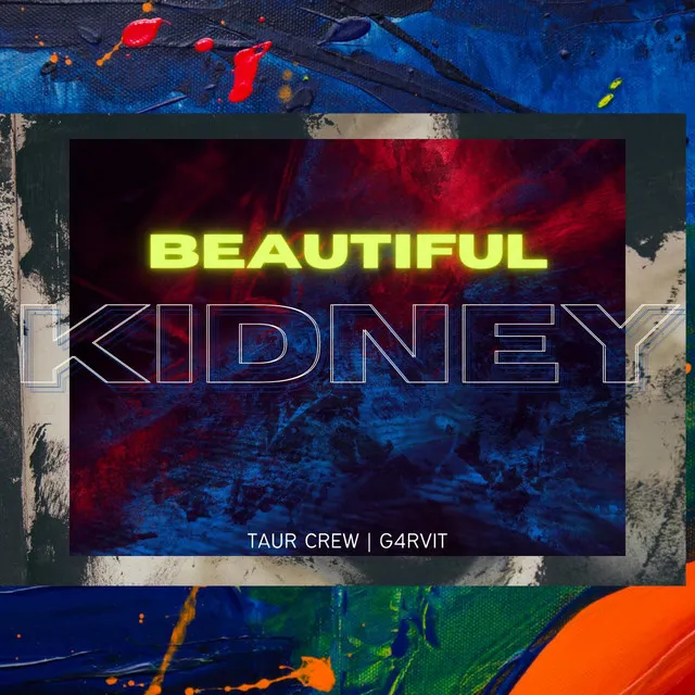 Beautiful Kidney