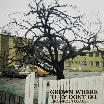 Grown Where They Don't Go by Bronkx