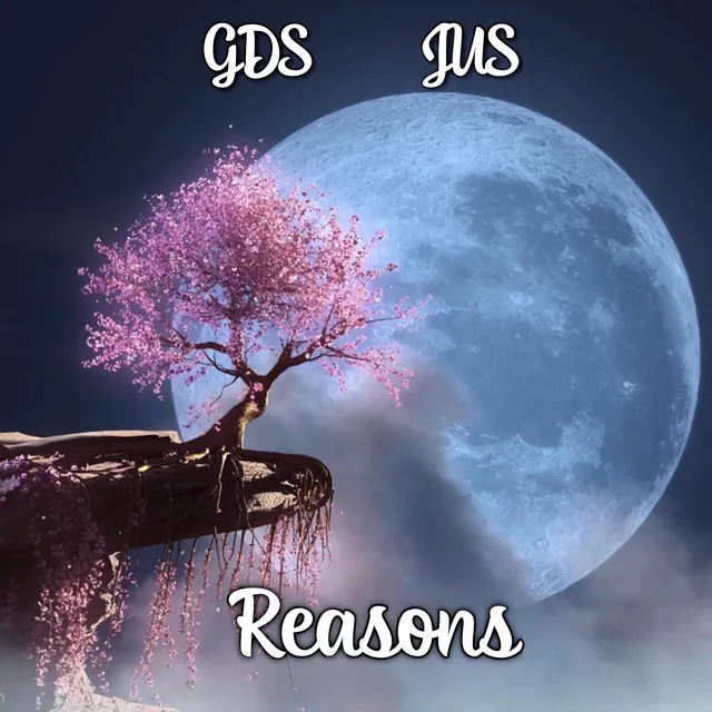 REASONS