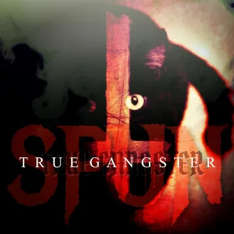 Spun by True Gangster