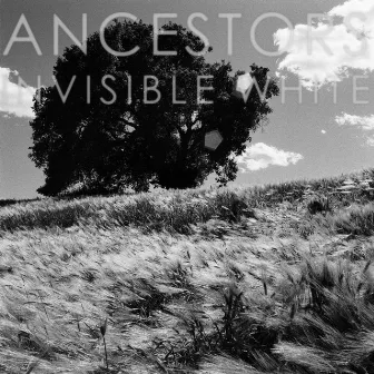 Invisible White by Ancestors