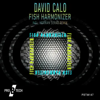 Fish Harmonizer (Hernan Serrao Remix) by David Calo