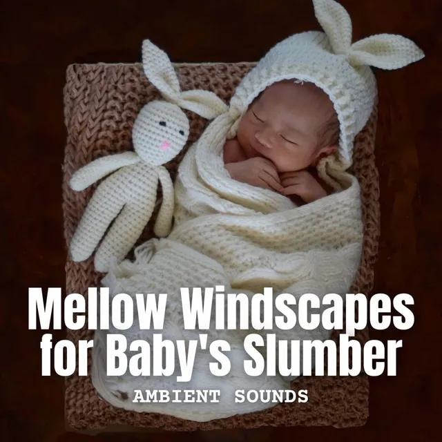 Ambient Sounds: Mellow Windscapes for Baby's Slumber