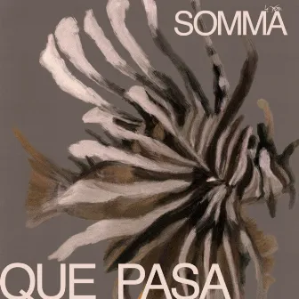 Que Pasa by SOMMA