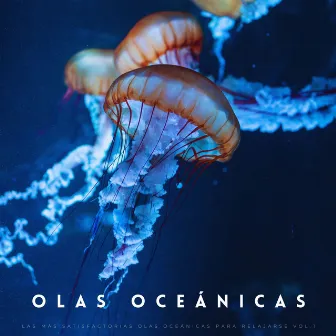 Las Más Satisfactorias Olas Oceánicas Para Relajarse Vol.1 by Sonidos del océano Efectos especiales