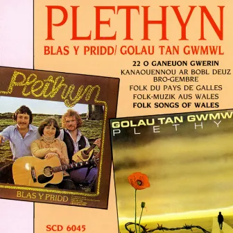 Blas Y Pridd / Golau Tan Gwmwl by Plethyn