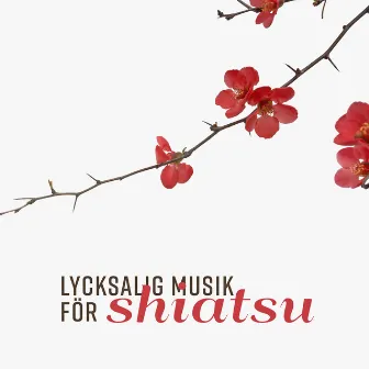 Lycksalig musik för shiatsu - Lugn bakgrund för orientalisk massageterapi, Djup avkoppling och stressavlastning by Lugn spa universum