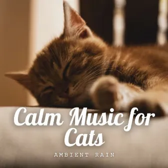 Ambient Rain: Calm Music for Cats by Baby Lullaby Playlist