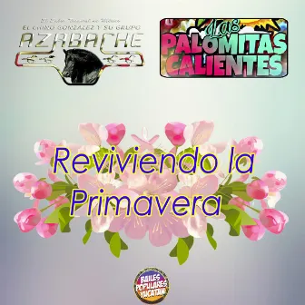 Reviviendo la Primavera by El Chino Gonzalez y su Grupo Azabache