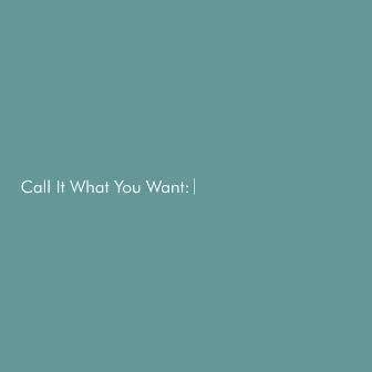 Call It What You Want by SNOWBOX