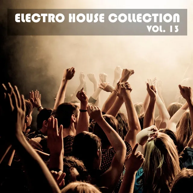 Electro House Collection, Vol. 13