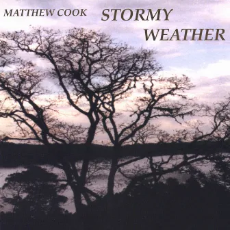 Stormy Weather by Matthew Cook