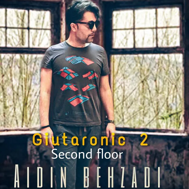 Giutaronic 2 second floor