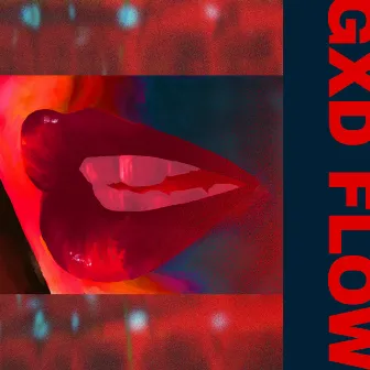 GXD FLOW by Visaka