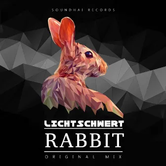 Rabbit by Lichtschwert