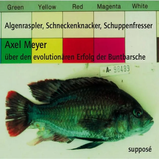 Algenraspler, Schneckenknacker, Schuppenfresser (Über den evolutionären Erfolg der Buntbarsche)