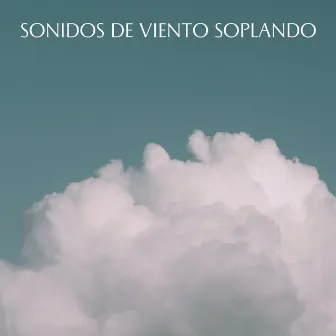 Sonidos De Viento Soplando by Dimensión del sueño