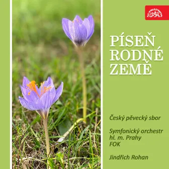 Píseň rodné země. Vystoupení pro soubory lid. um. tvořivosti by Jindrich Rohan