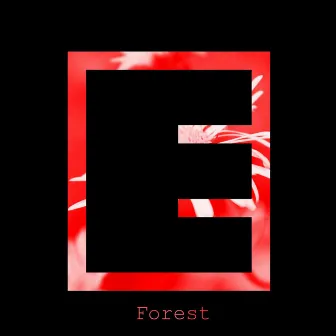 Forest by Equalize