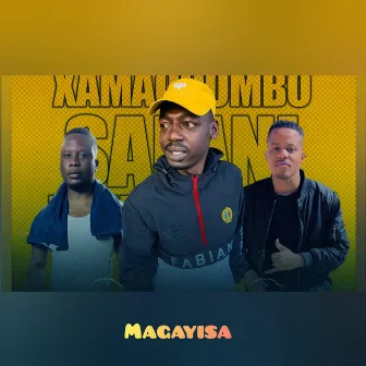 Magayisa by Salani The Producer