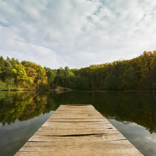 Relaxing Nature Sound for Meditation