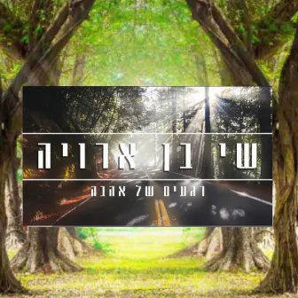 רגעים של אהבה - קאבר by שי בן ארויה