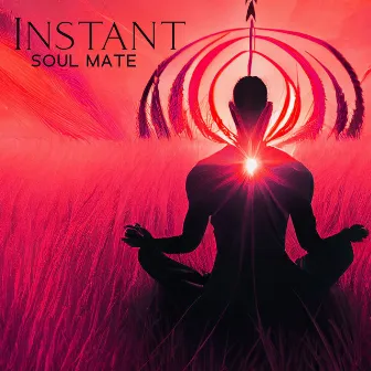 Instant Soul Mate by Unknown Artist