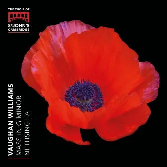 Vaughan Williams: Mass in G Minor by Joseph Wicks