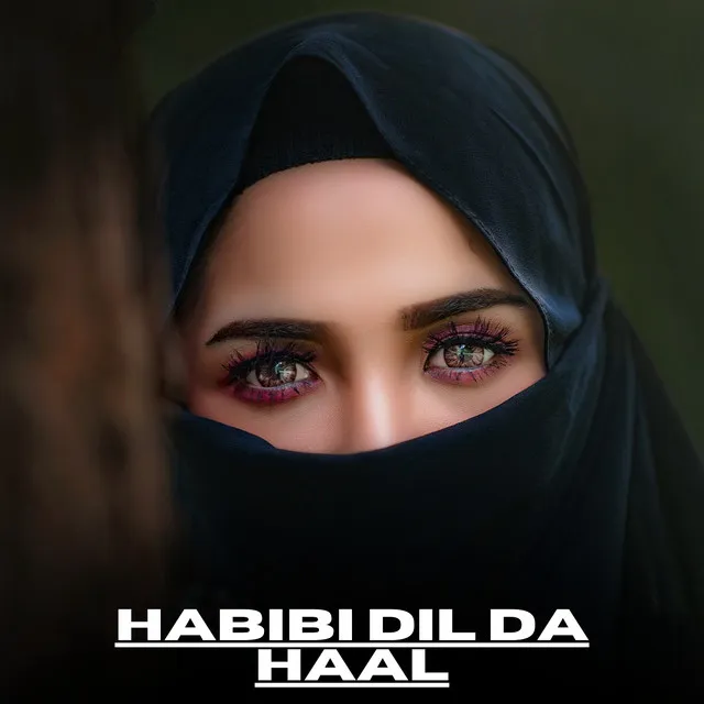 Habibi Dil da Haal