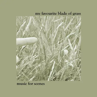 Music for scenes by My Favourite Blade Of Grass