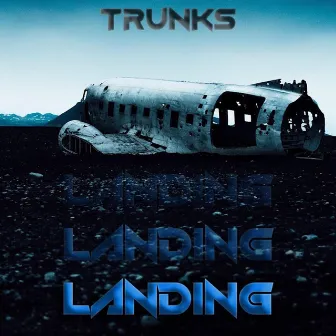 Landing by Trunks